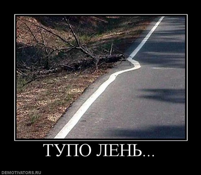 https://i.postimg.cc/Bv7576c7/5116322.jpg
