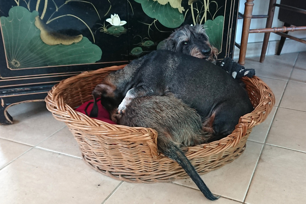 [Image: DSC-3440.jpg]