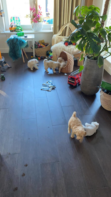 2893B574-6CA6-478F-97A6-6FF5A850E2F7