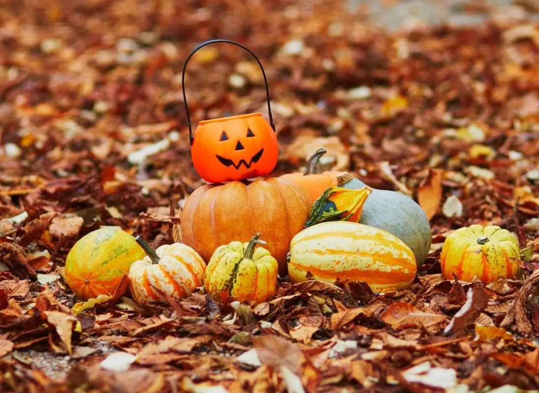 Pumpkins 0039