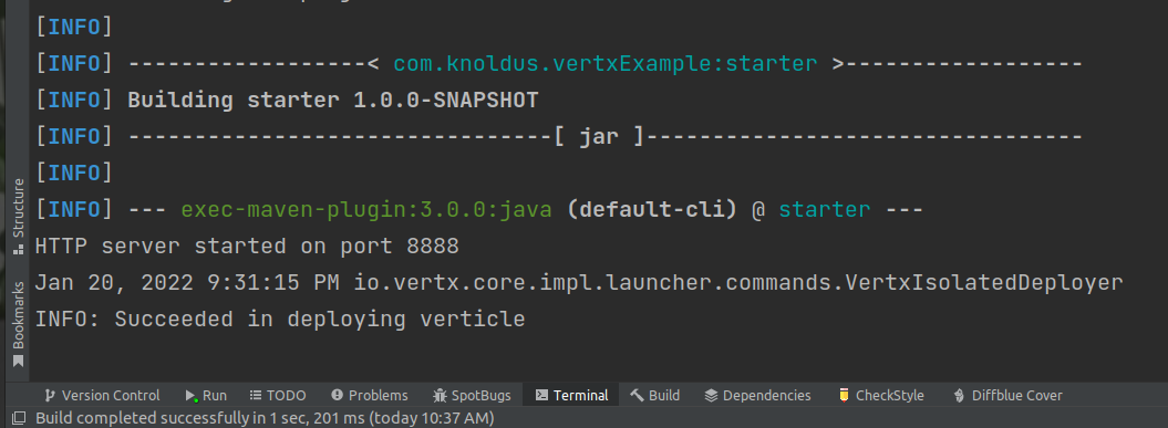 showing output for mvn exec command