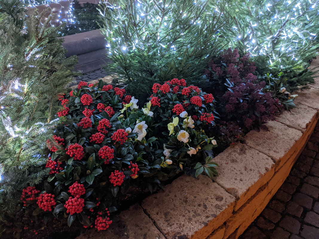 PXL_20201126_165420332