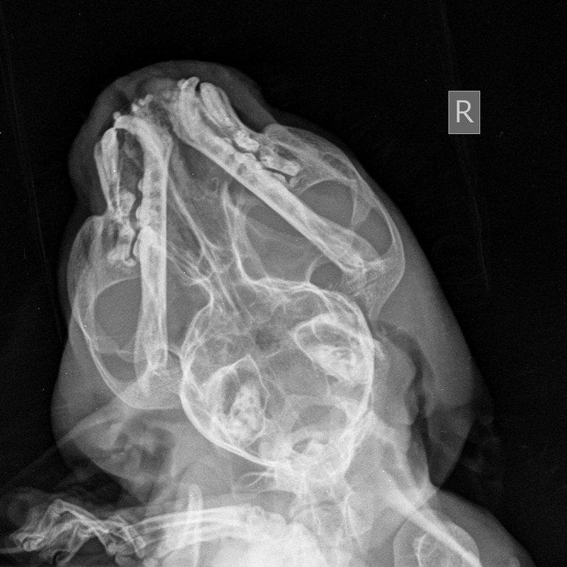 6486C664-B72B-48DB-BA09-B9589B199463