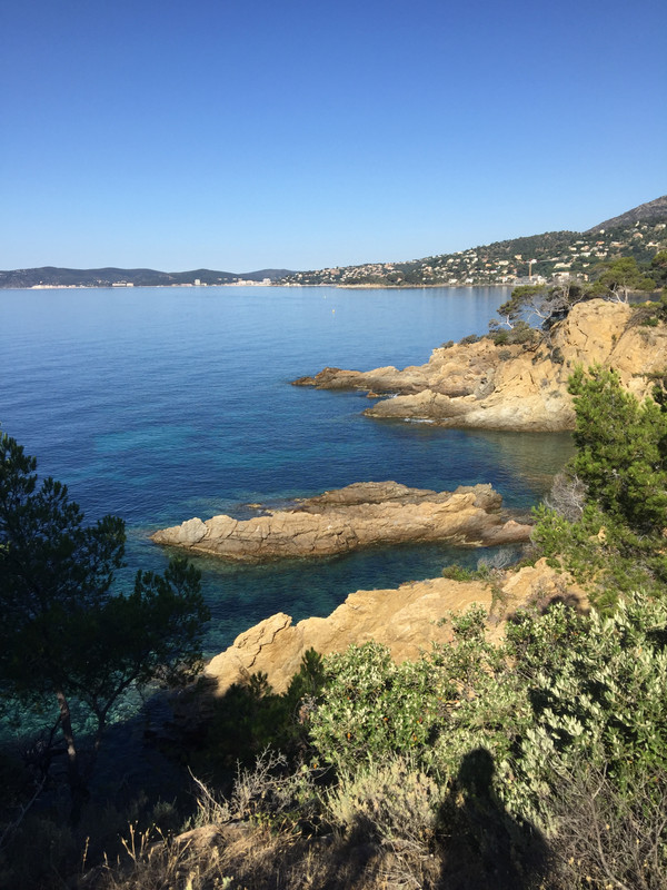 CF5B56F7-AB20-41C6-82FB-4538CD8F0042