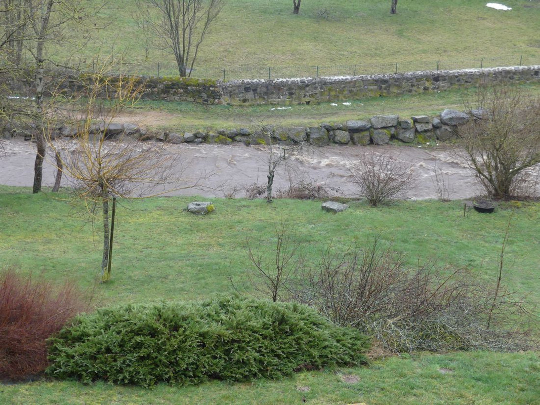 P1090441.jpg
