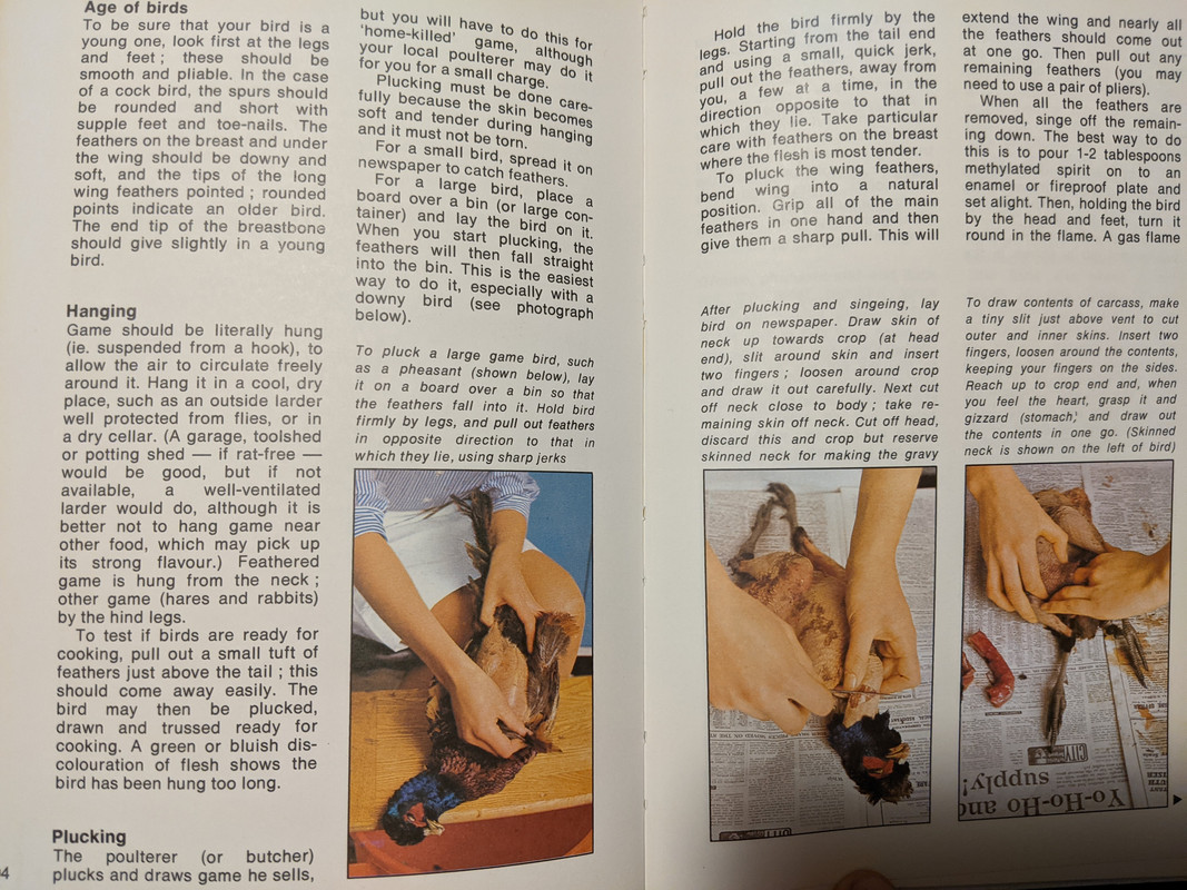 PXL_20201122_155902656