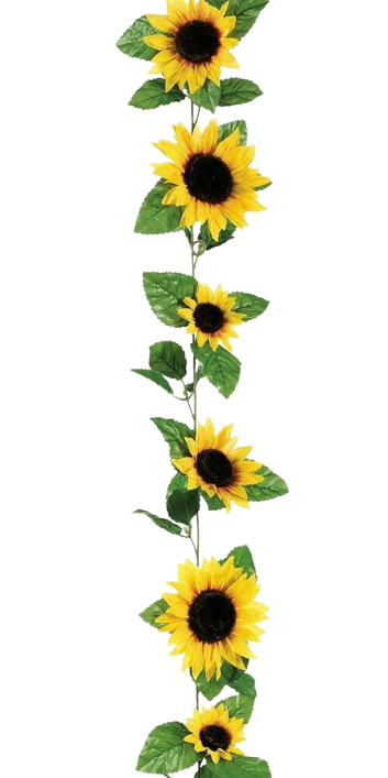 0c694eec6698b92f8ead8dfa6d39651c-removeb