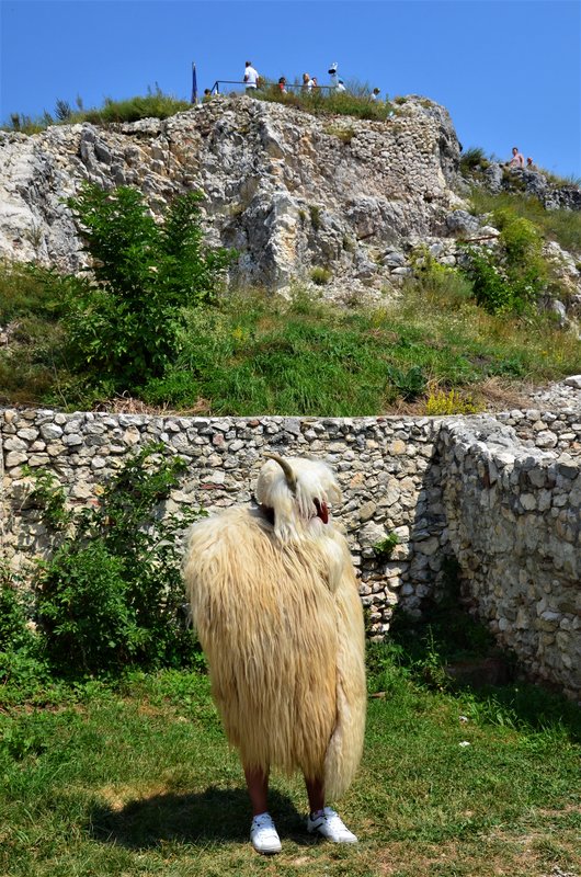 Rumanía y sus pueblos-2015 - Blogs de Rumania - Rasnov-7-8-2015 (28)