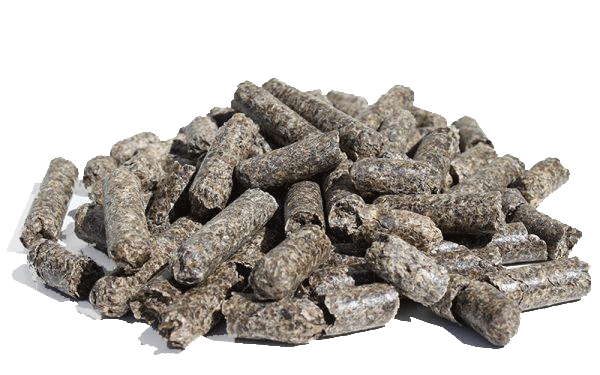Sugar Beet Pulp Pellets