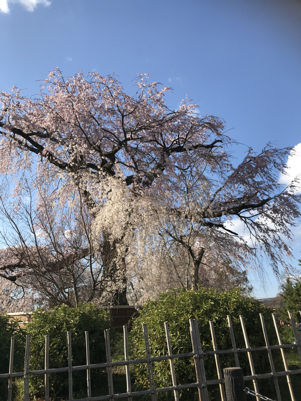 FA784396-EF63-4B80-83DE-611E9AA56FF0