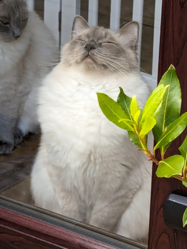 PXL_20240608_145406475