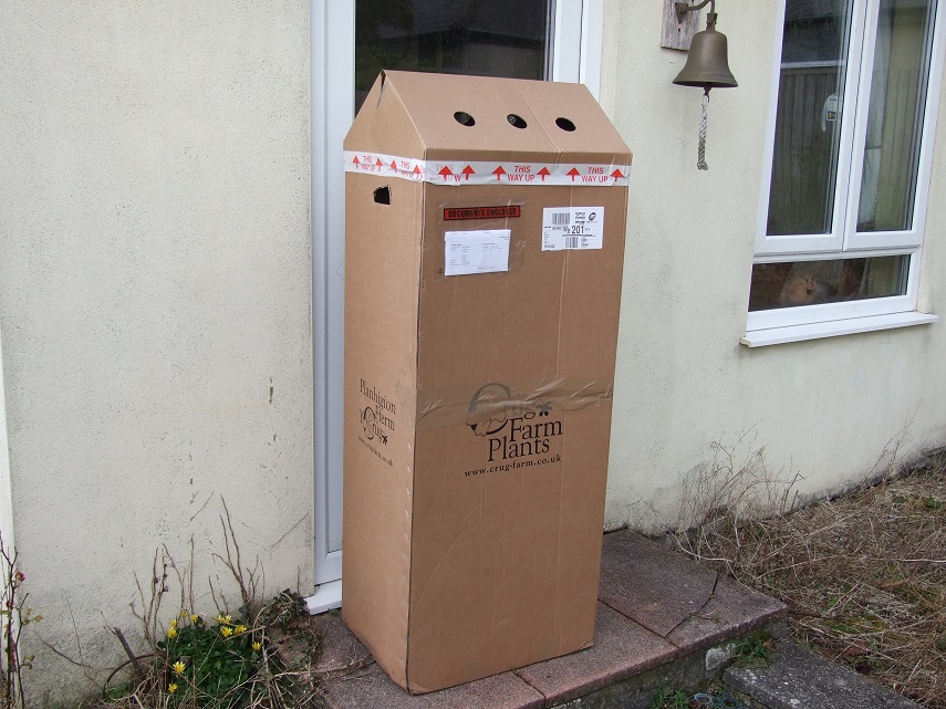 DSCF7520small