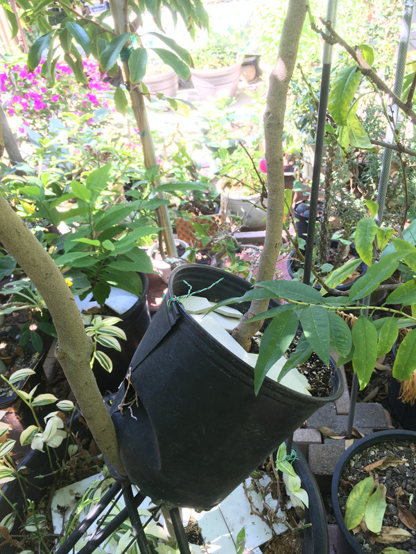 4224E3A0-E1EE-436C-A259-1A1D2D77FC7C