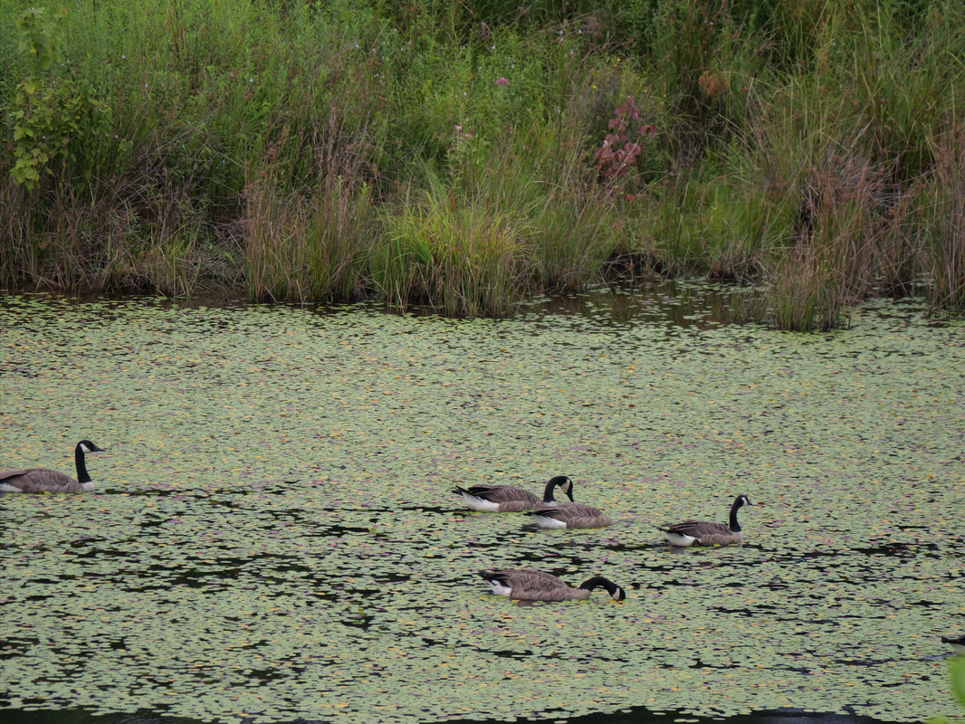 P1014660.jpg
