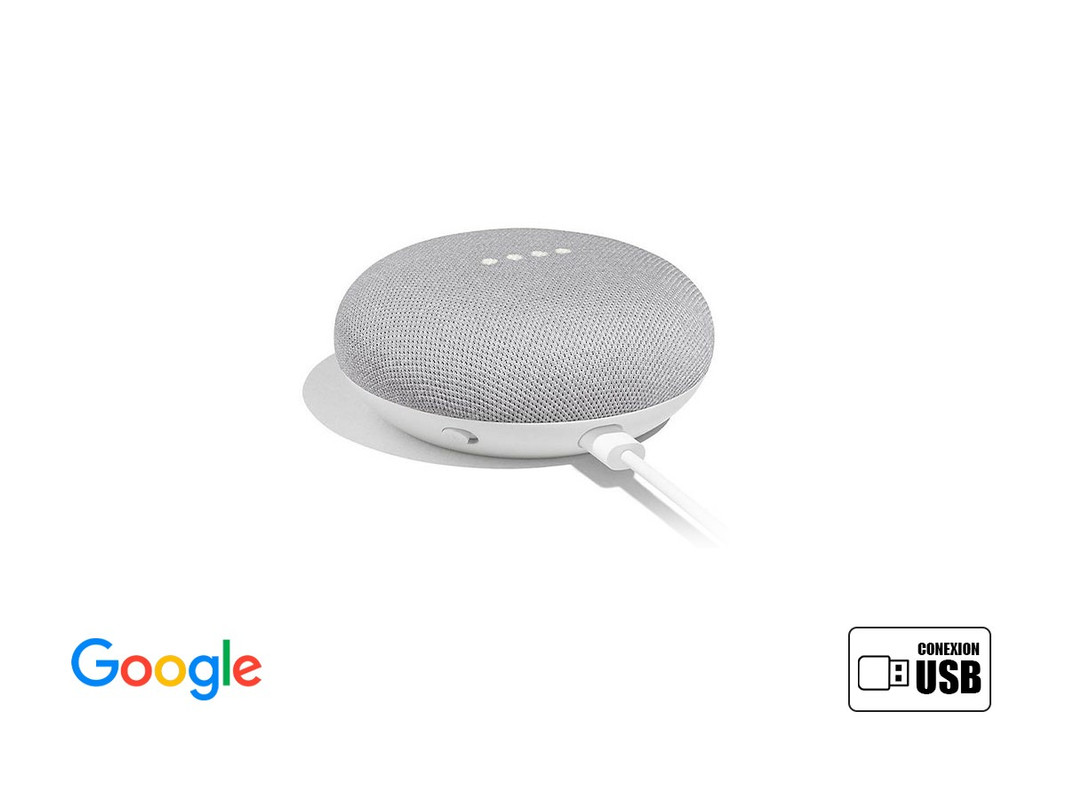Parlante Inteligente Google Gris