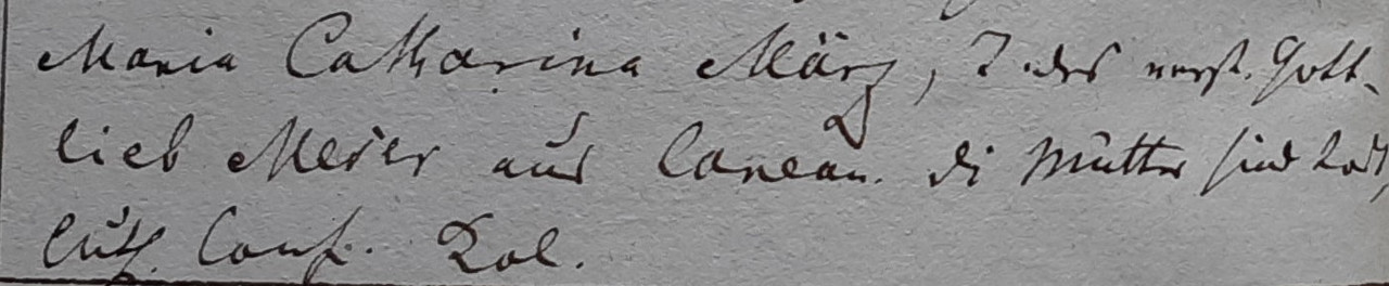 Schneider