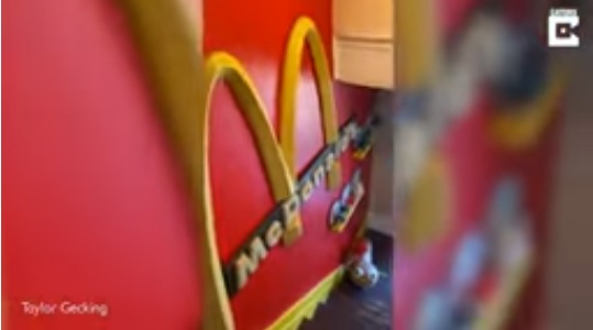 Tanda lengkungan emas ikonik milik McDonald's yang terpasang di rumah Taylor Gecking.