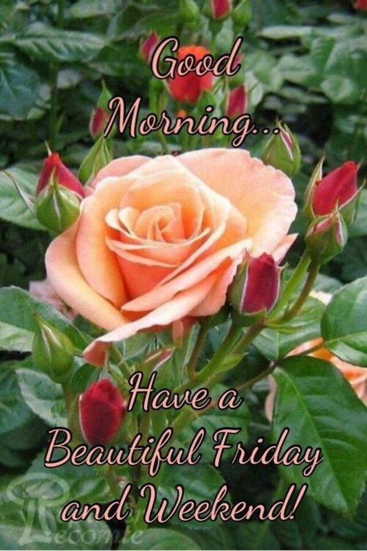 An den Beitrag angehängtes Bild: https://i.postimg.cc/BvB395Kb/oie-18842f-UTQSu-M6.jpg