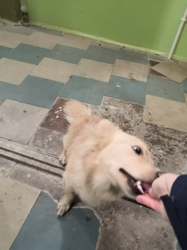 153A143C-1D6E-44E7-A54D-A0A4F9F16110