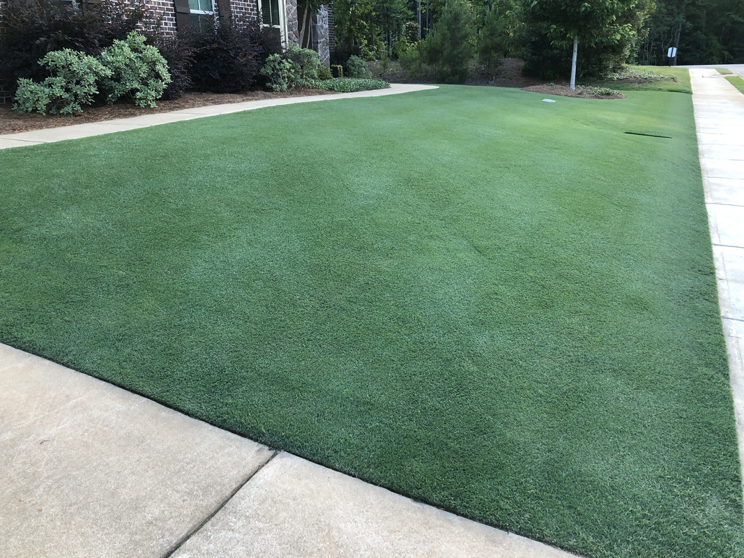 59EC2776-6D47-41A2-97D9-ACCA6F681BCF