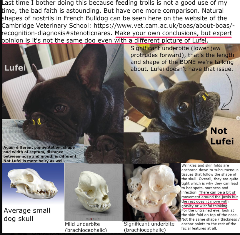 изображение_2025-03-06_203449117