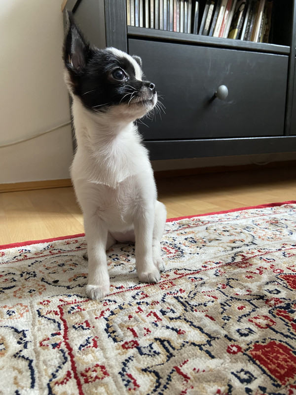 732E6967-2370-4ACA-B7CA-D39CD1272C9D