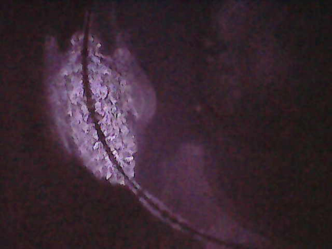 Photo_2025-06-05 21_48_17_061