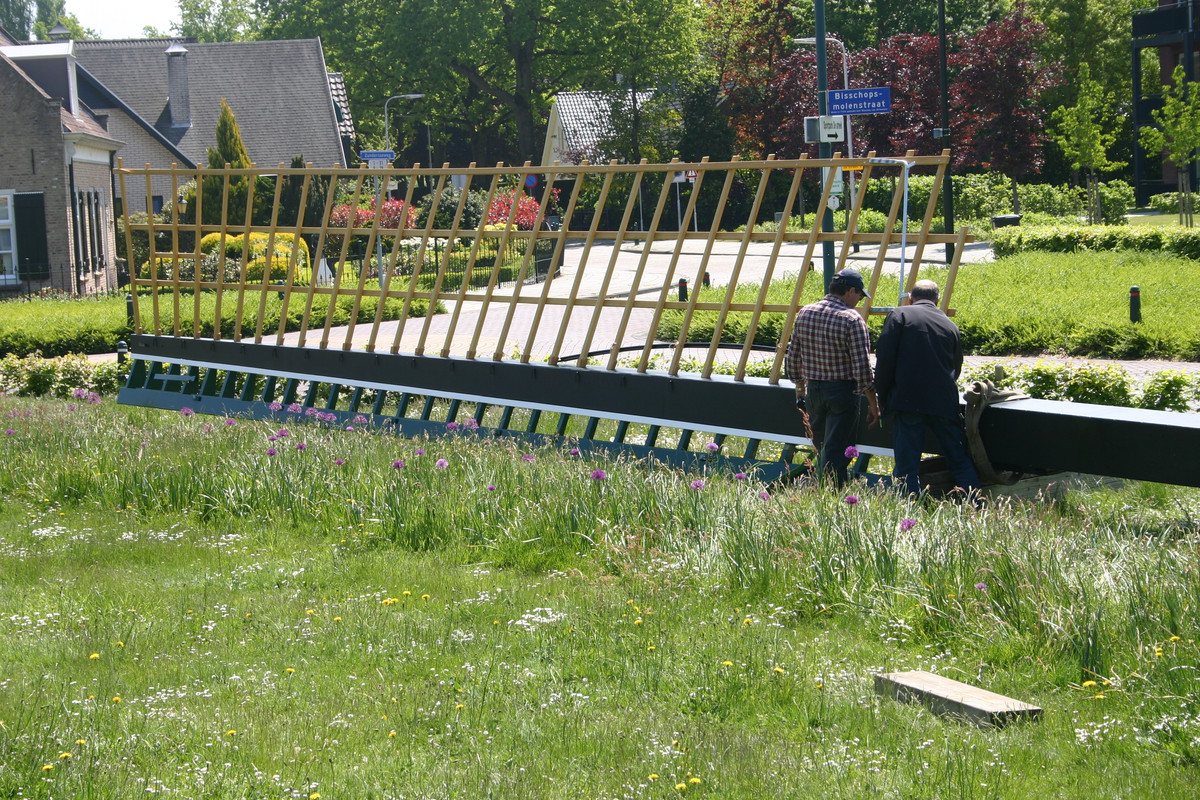 2015-05-21 gevlucht bisschopsmolen   (27)