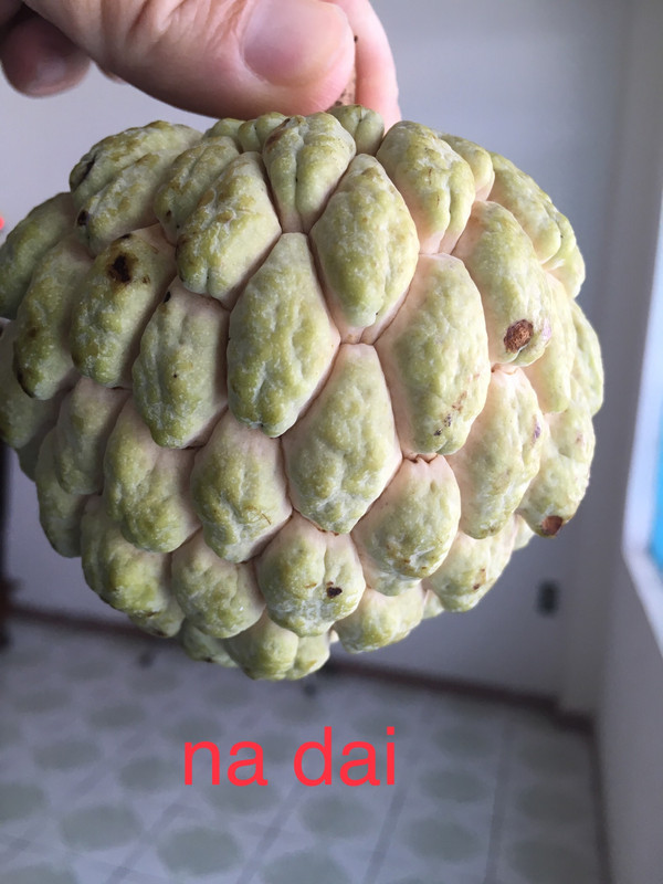 844AB580-7DD3-41F5-8960-4512F02702D0