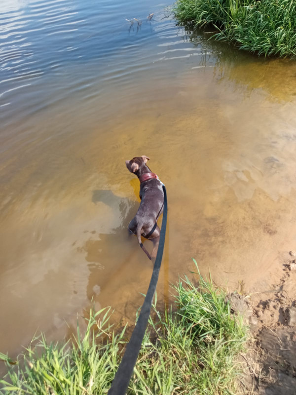 24E8CA53-4D47-4F41-8DDE-018F3C1CB0AF