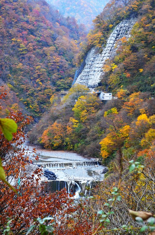 Presa Oguchi Daiichi y Templo Fukase-15-11-2024 - Japón y sus Pueblos-2024 (5)