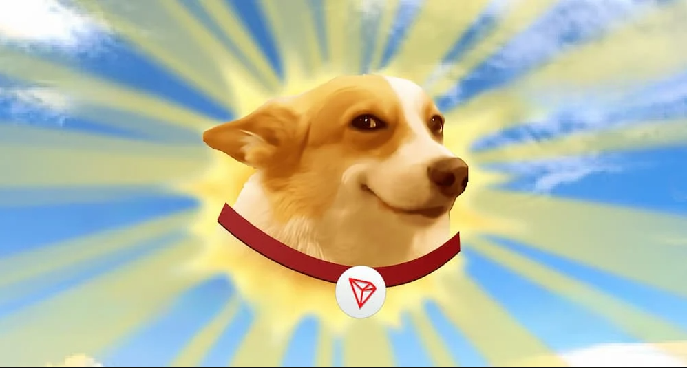 article imageSundog