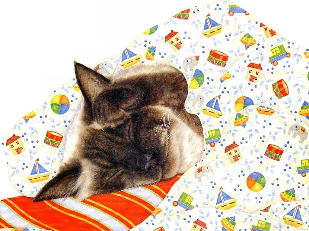 01-Anne-Mortimer-13