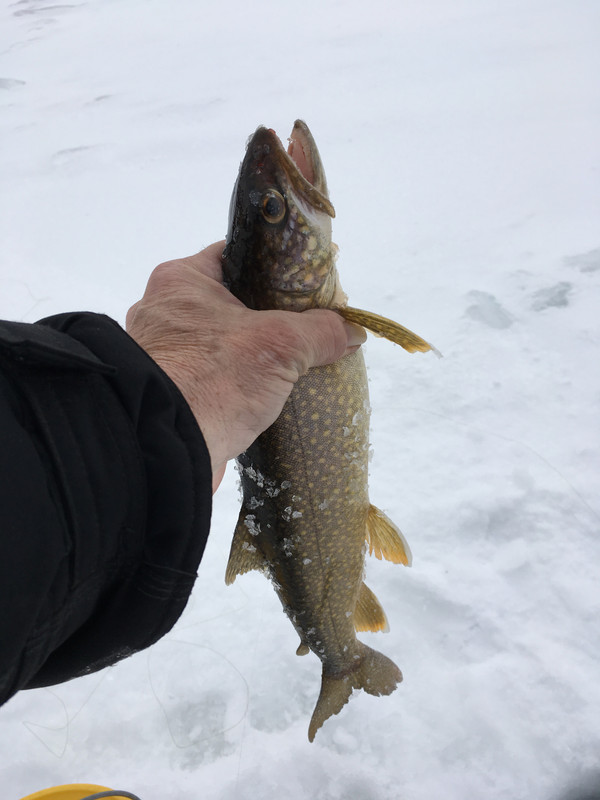 54FB3BF3-E1B9-405B-A279-E1729B894222