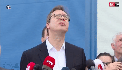 Brown-Jolly-Ivorybilledwoodpecker-size-r