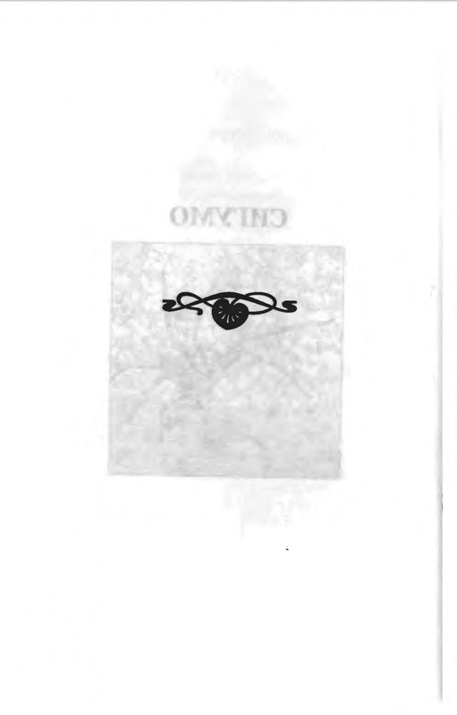 B-Akunin-Nefritovye-cetki-2007-page-0009