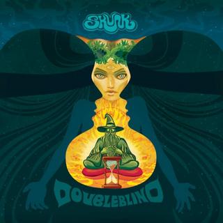 Skunk - Doubleblind (2017).mp3 - 320 Kbps