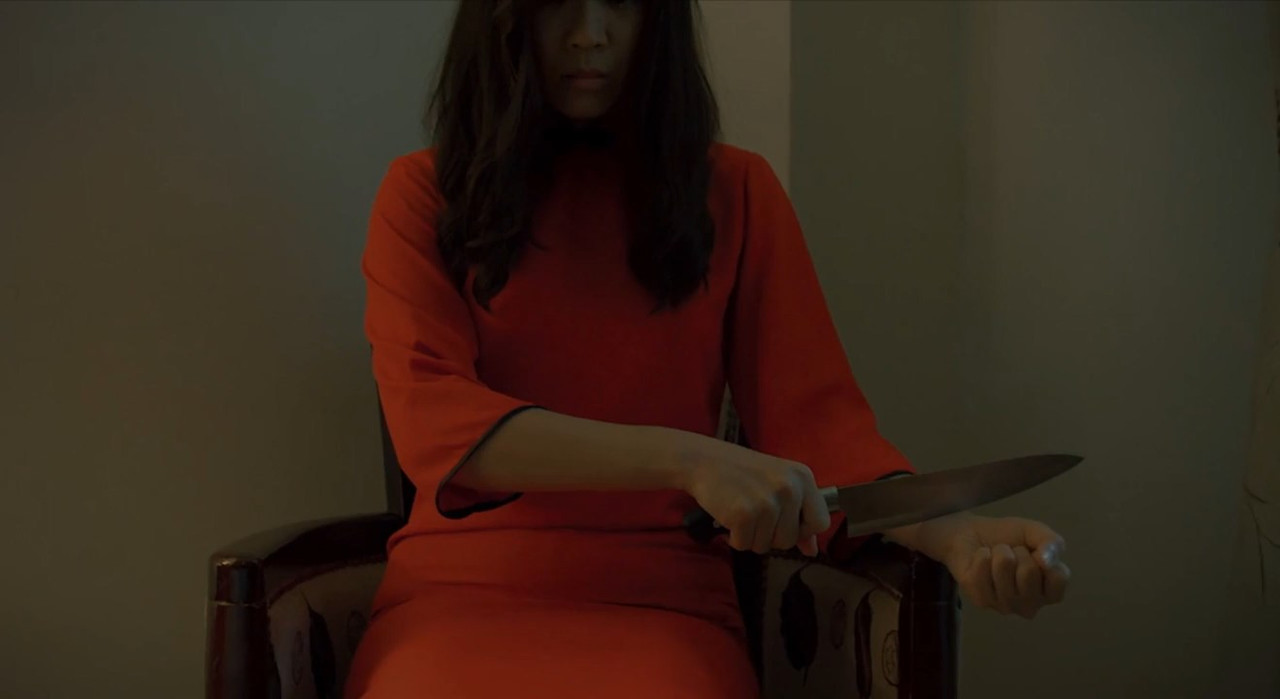 Two Sisters 2019 WebRip [Hindi + Tamil + Telugu + Chinese] 480p 720p ESub Screenshot