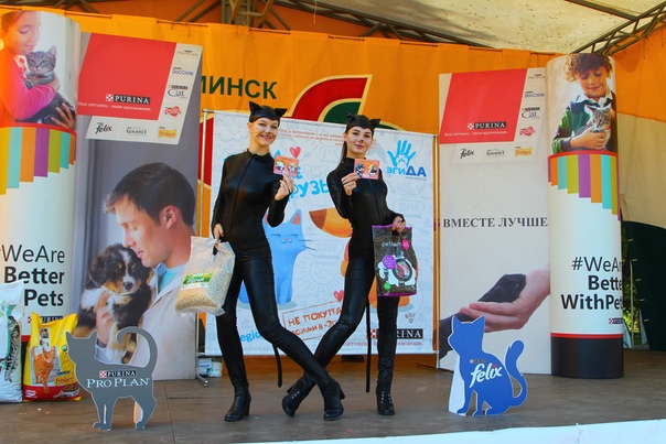 8E0CB068-D1AB-4A20-BC06-CEBC818F7D4F