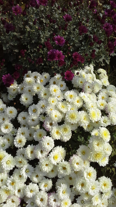 20120410_170811