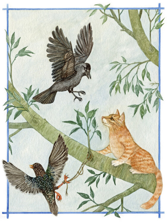 03-original