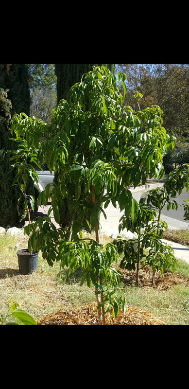 Screenshot_20180423-092042