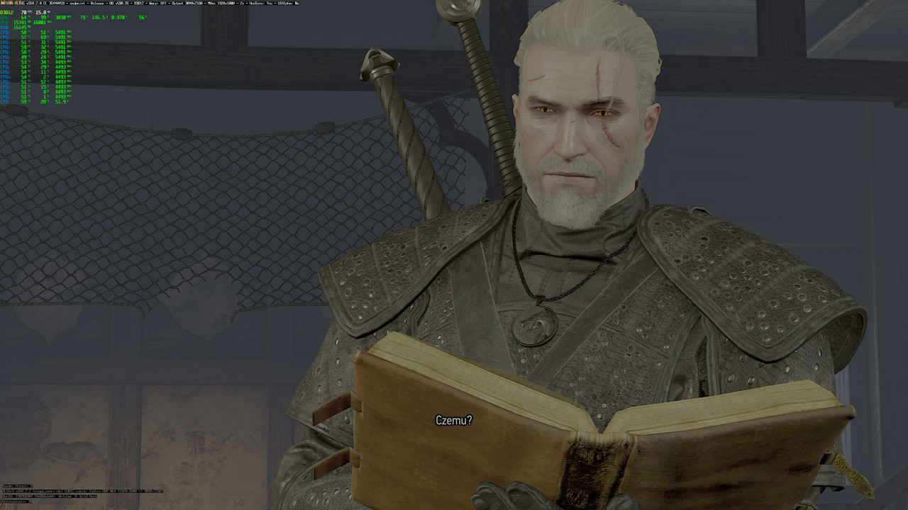 witcher3_2025_07_21_17_36_17_981