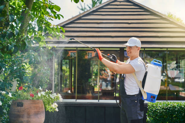 Termite protection treatment