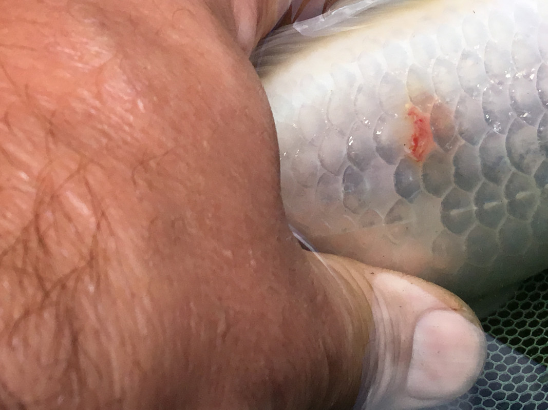 A2B273F3-0AB5-4029-9038-D173C6511666