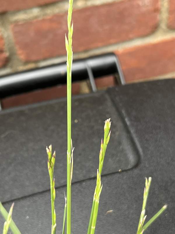 86403055-AC51-4D1A-A616-00359E9F3C84