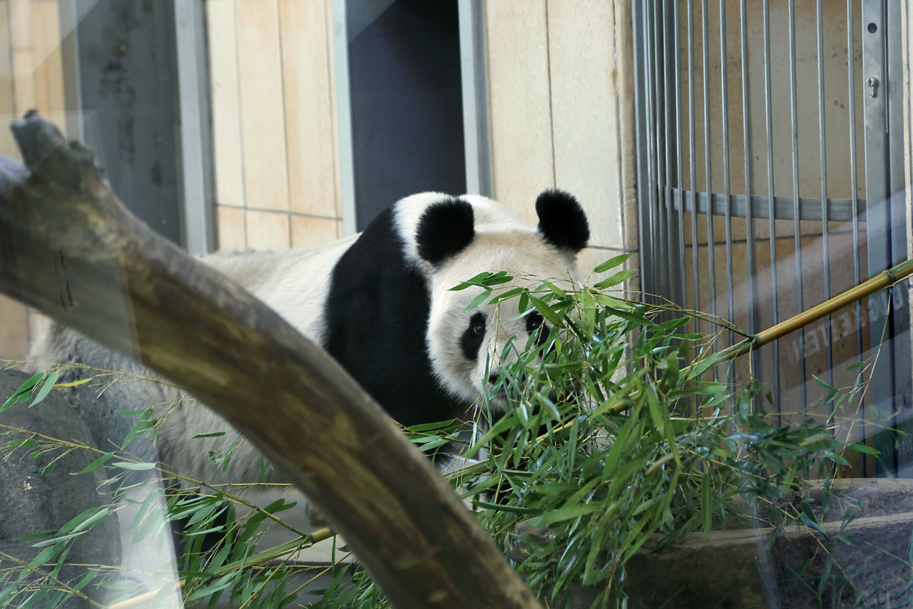 IMG-6091.jpg