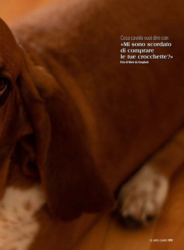 Il M C Ott 2021 (12)