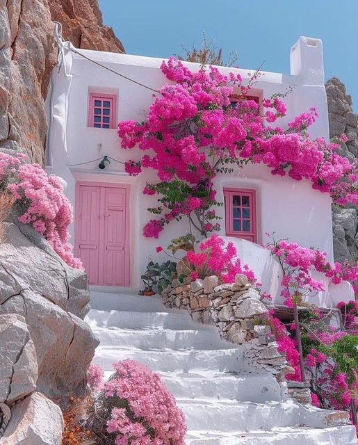pink-house2.jpg
