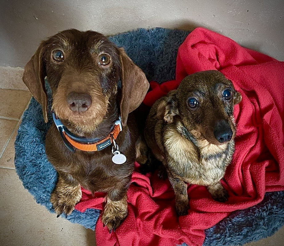 [Image: IMG-4775.jpg]